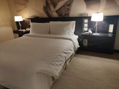 -国家会议中心大酒店