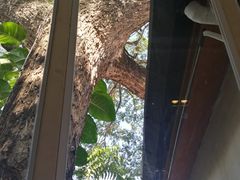 -Cheevit Cheeva(Sirimangkalajarn)