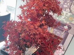 -顺峰(农展馆店)
