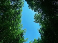 -黄公望隐居地
