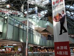 -鹏欣水游城