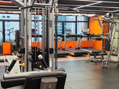 -健身专家Wellness Experts