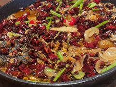 -老板恋上鱼(恒隆广场店)