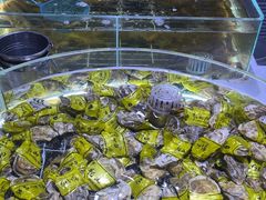 -聚盛源蒸汽海鲜火锅烤肉自助(巨川金海岸购物广场店)