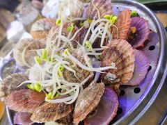 清蒸扇贝-九层海鲜塔(市南店)