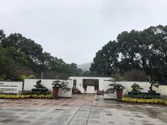 -南山植物园