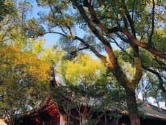 -天一阁博物院
