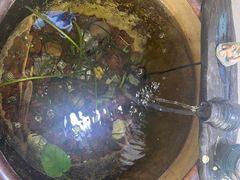 -悦享采耳·洗头头疗·推拿SPA(海沧万科旗舰店)