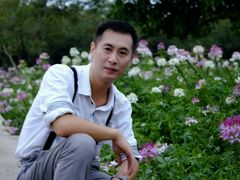 醉蝶蘭-广东花都香草世界旅游度假区