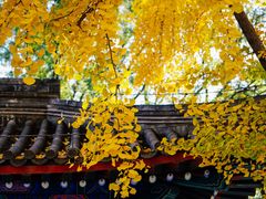 -北京国子监胡同