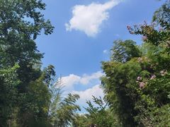 -竹园小居(石塘竹海店)