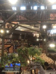 -卡通尼·Safari非洲探索乐园·生日会(金桥国际商业广场店)