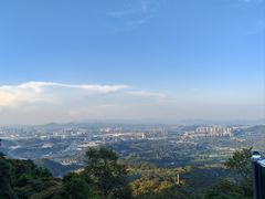 -黄埔油麻山森林公园