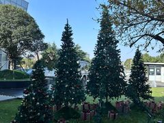 -奔驰上海利星(七宝店)