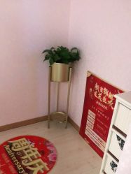 -薇兰专业脱毛连锁机构