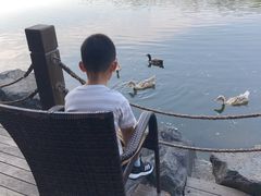 -上海怡沁园度假酒店