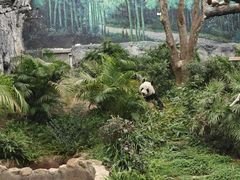 -石排湾郊野公园