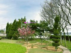 -黑石礁公园