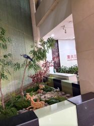 -重庆五洲妇儿医院·妇幼保健