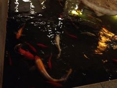 iphone_upload_pic-松子料理(亮马桥店)