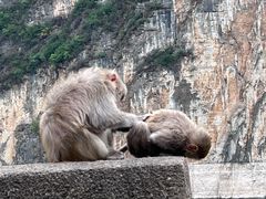-白帝城·瞿塘峡景区
