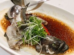 清蒸鱼-宜宾海鲜酒家·三十年老字号