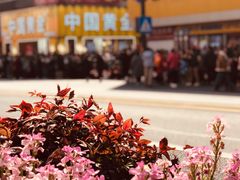 -文峰大世界(南大街店)