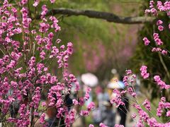 -贵阳市花溪国家城市湿地公园
