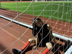 -深圳市宝安体育中心体育场