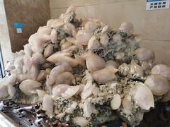 -湖南省地质博物馆