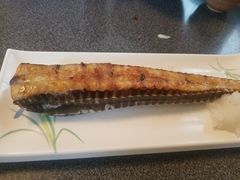 -鱼真(うおまさ)