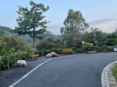 -阳台山森林公园