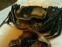 -新光酒家·河豚·海鲜·蟹料理(浦东店)