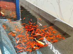 -新世界大丸百货