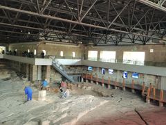 -自贡恐龙博物馆