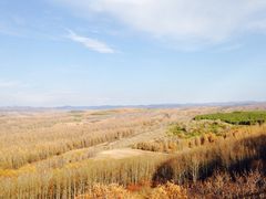 iphone_upload_pic-塞罕坝国家级自然保护区