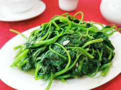 -蛇口康乐快餐鱼仔档(翠苑小区店)