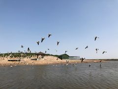 -南大港湿地风景区