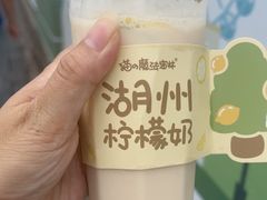-猫的魔法密林(衣裳街店)
