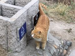 -北京凤凰岭