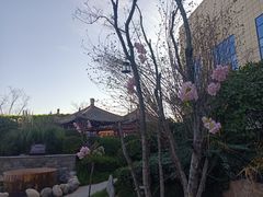 -中华郡温泉