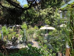 -谷咖啡·鲜花绿植花园餐厅