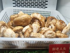 -太婆天府山珍酒楼(亚运村店)