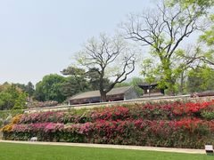 -红螺寺