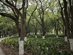 -金鸡湖景区