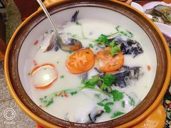 -全乐鱼馆·淳牌有机鱼直营店