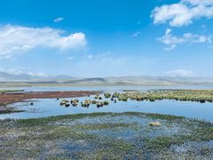-花湖生态旅游区