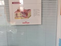 -瑞派福兴宠物医院犬猫全科·骨科·中西医结合(河东店)