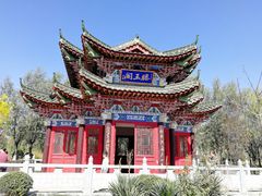 -武清南湖绿博园