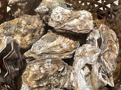 -蚝堡海鲜·威海菜·海肠捞饭·烧烤·亚洲吃蚝公司(幸福门店)